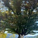 다희펜션 이미지