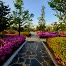 풀잎나루공원 이미지