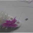 펭귄유통 이미지