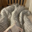 뚜벅이하우스 이미지