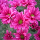 영남통상 이미지