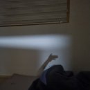 왈왈스테이 이미지