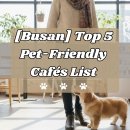 부산애견 이미지