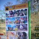 대관령 아기동물농장 이미지