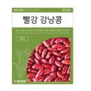 씨