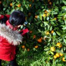 우후농장 이미지