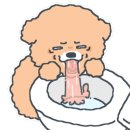 치킨신드롬용정점 이미지