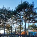 여주산림박물관.산림공원과_#2 | 여주 가을 황학산 수목원, 난대식물원 산림박물관 관람까지 한번에