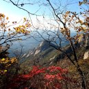 도산사 | 초등학생 자녀와 함께한 북한산 도선사 코스 후기 (우이역 교통광장 주차장 주차정보)