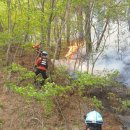 무릉도원면-49 이미지