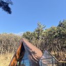 송정자연휴양림 | 칠곡 송정자연휴양림 느티나무, 소나무 세모의집 후기