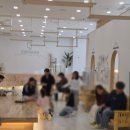 캣플 동탄점 이미지