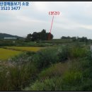 요골목장 네이버블로그