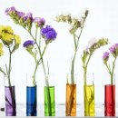 남계초등학교 이미지