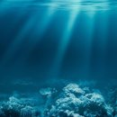 보리울휴펜션 이미지