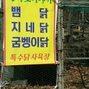 장생산약초 이미지