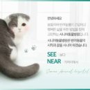 시니어동물병원 네이버블로그