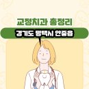 안중백병원 | 경기도 평택시 안중읍 교정치과 총정리