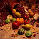 파브리카 이미지