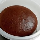 달코미아이스크림 이미지