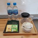 도시고양이생존연구소 | [하동여행] 도시고양이생존연구소 2박3일 후기