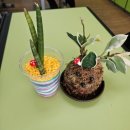 영등중학교 이미지