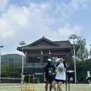 테니스센트럴
