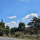 표선 교차로 1 이미지