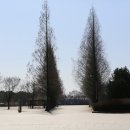 머리산책