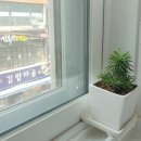 김재연한의원 이미지