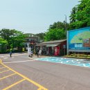 참꽃어린이집 앞 | 제주 절물자연휴양림 입장료 소요시간