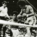 장정구 복싱 이미지