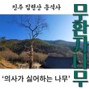 진주 응석사 목조석가여래삼불좌상 | 진주 가볼만한 곳 - 진주 응석사 무환자나무