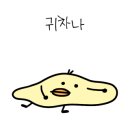 요섹남(본점) 이미지