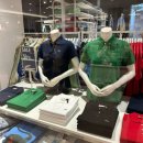 (주)코리아세븐 가산마리오아울렛3관점 | 라코스테 카라티, 가디건, 원피스 할인하는 가산마리오 라코스테 매장