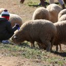 풍경목장 이미지