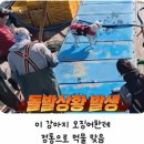 삼치 한 상자랑 바꾼 시골 똥개.gif 이미지