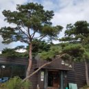 솔내음식당 이미지