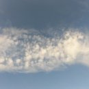 찰리브라