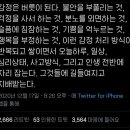 어레인지먼트 커피