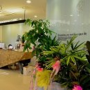 에코연합치과의원 이미지