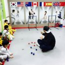 연세키즈태권도 이미지