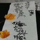 캘리그라피 이미지