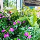 슬기롭게 건강하게 이미지