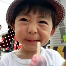 이우진 Daum카페