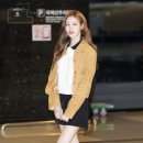 정세비 카카오 검색결과