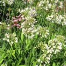 런던파크 이미지