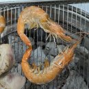 식껍 복대점 이미지