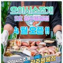 오아시스조개 이미지