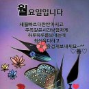 "광명 '구름산' 및 '가학산' 산행"＜2019.11.23(토)＞ 이미지